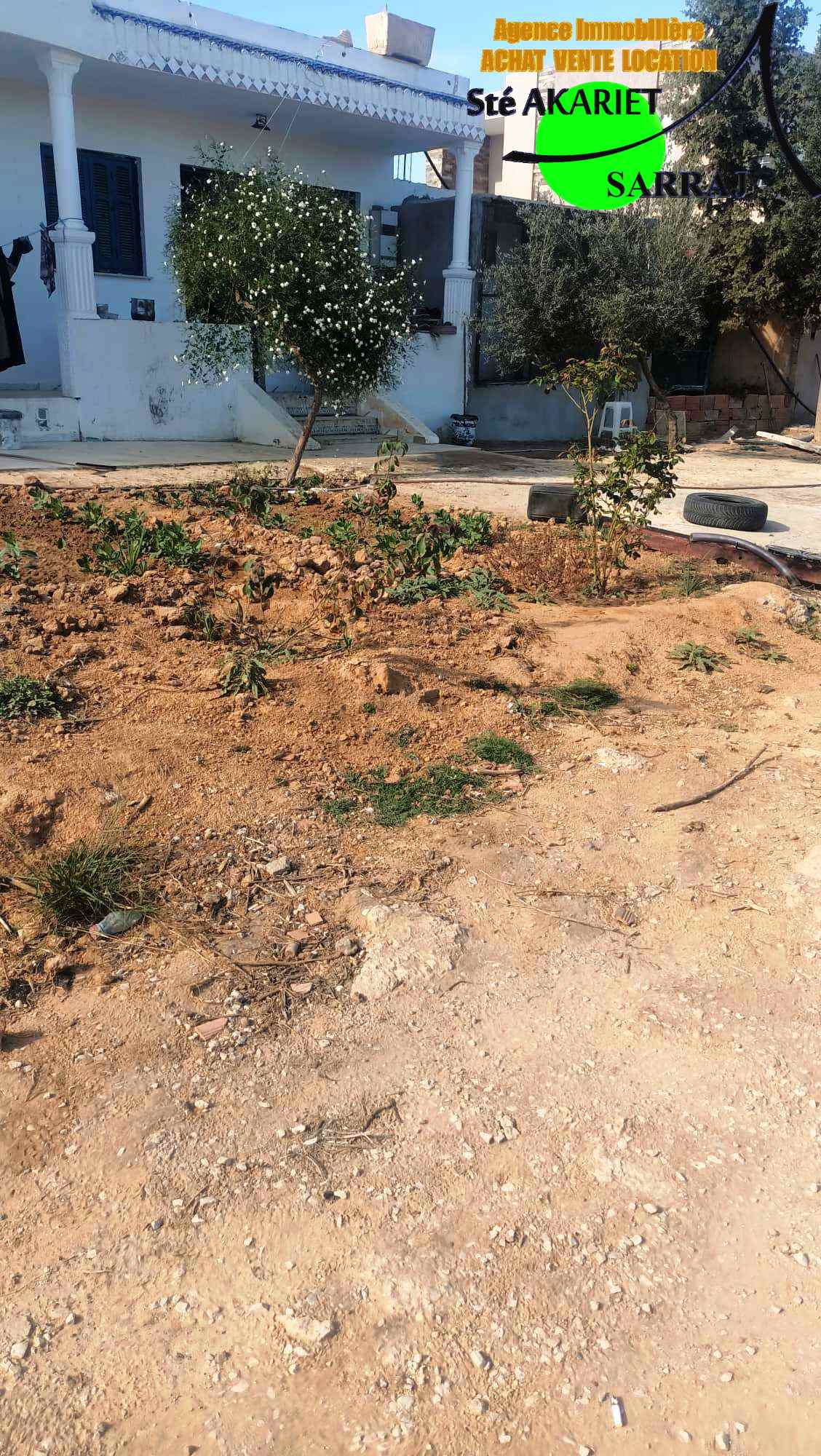 Akouda Chatt Meriem Terrain Terrain agricole Terrain cltur 1254m prs zine bledi tantana