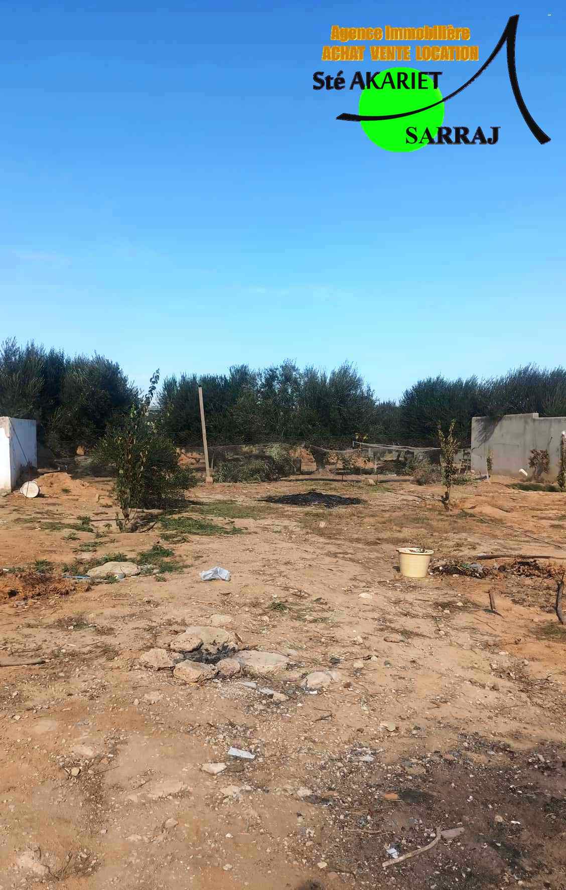 Akouda Chatt Meriem Terrain Terrain agricole Terrain cltur 1254m prs zine bledi tantana