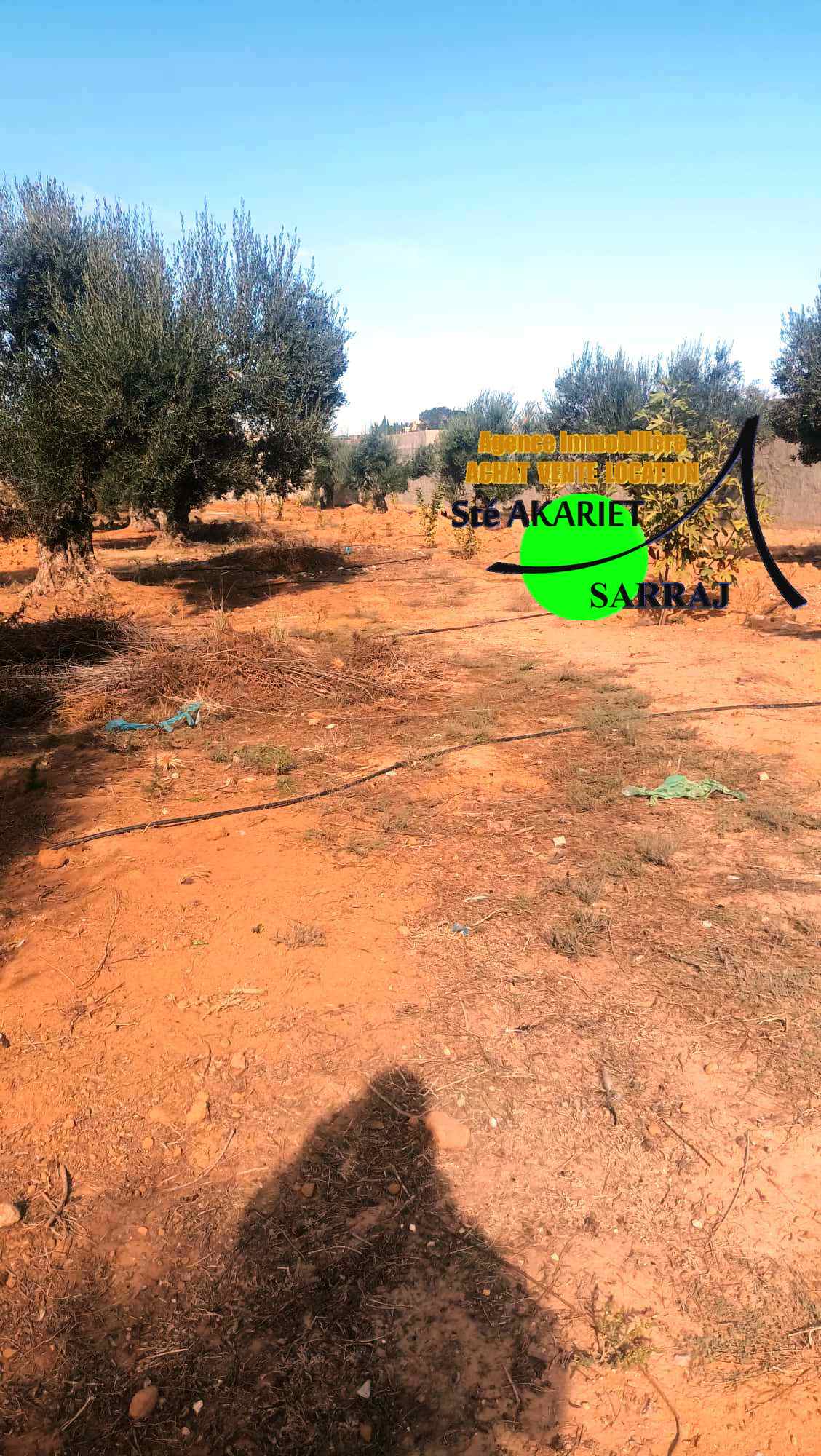 Akouda Chatt Meriem Terrain Terrain agricole Terrain cltur 2658m prs zine bledi tantana