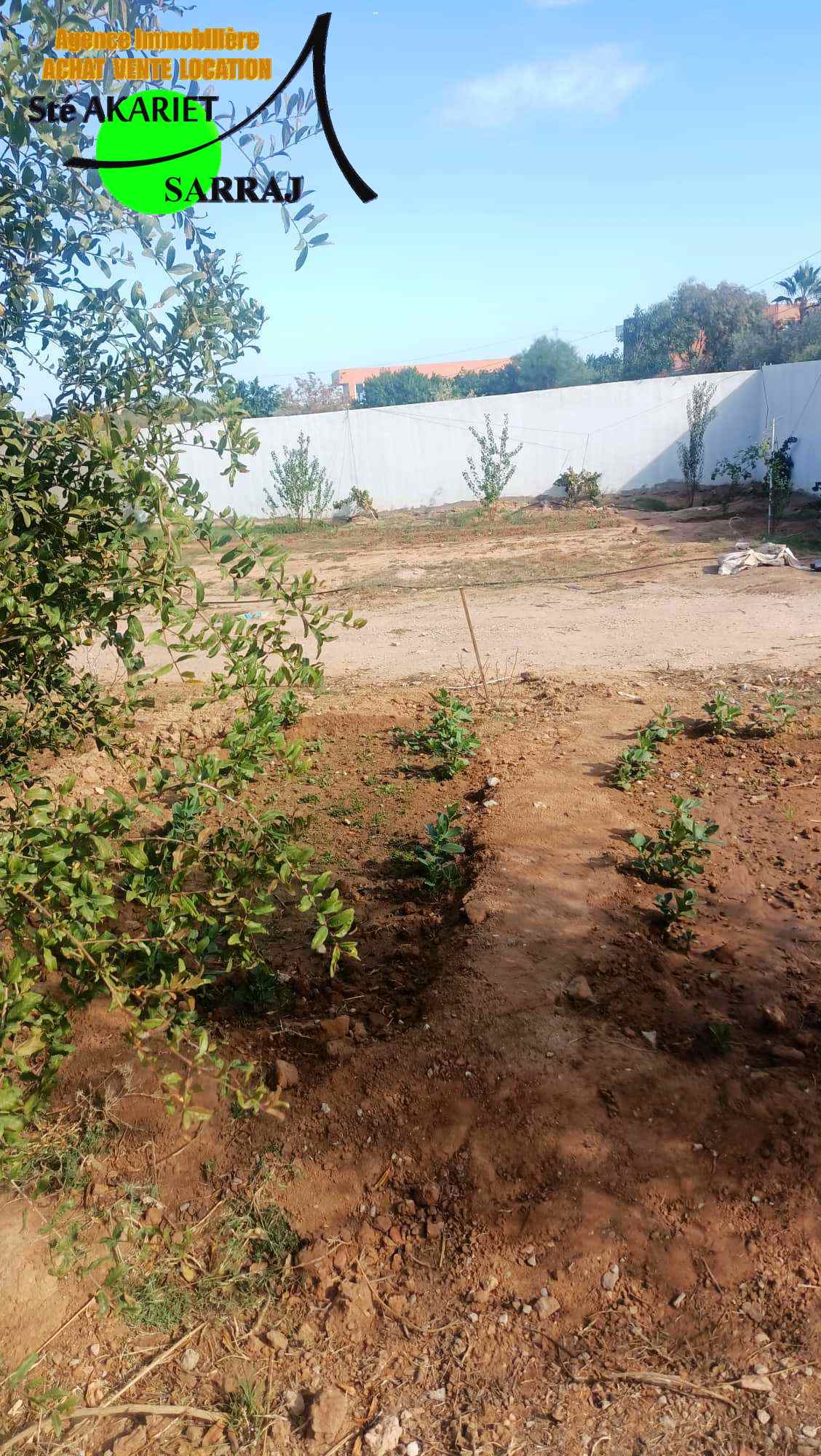 Akouda Chatt Meriem Terrain Terrain agricole Terrain cltur 2658m prs zine bledi tantana