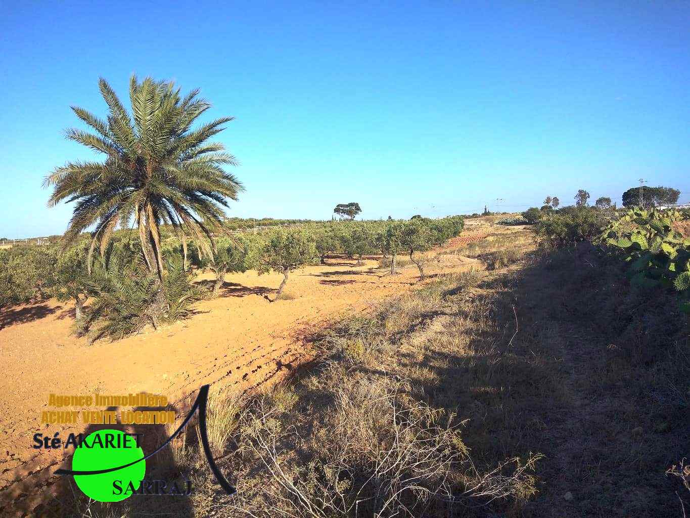 Terrain Terrain agricole