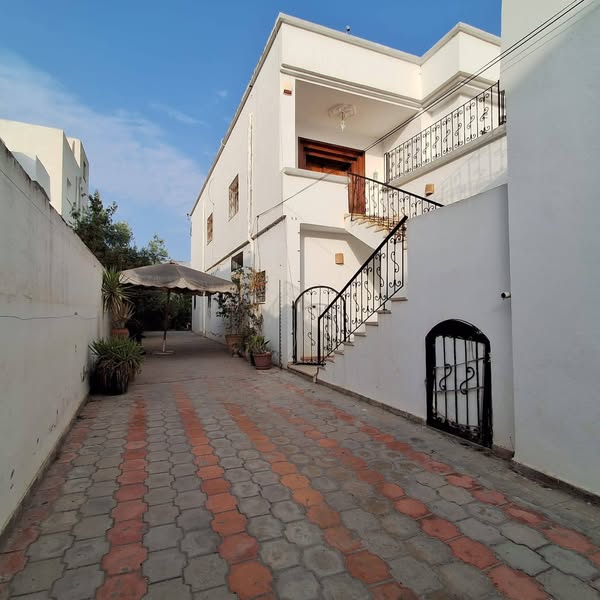 Ain Zaghouan Jardins de Carthage Vente Maisons Opportunit rare aux jardins de carthage