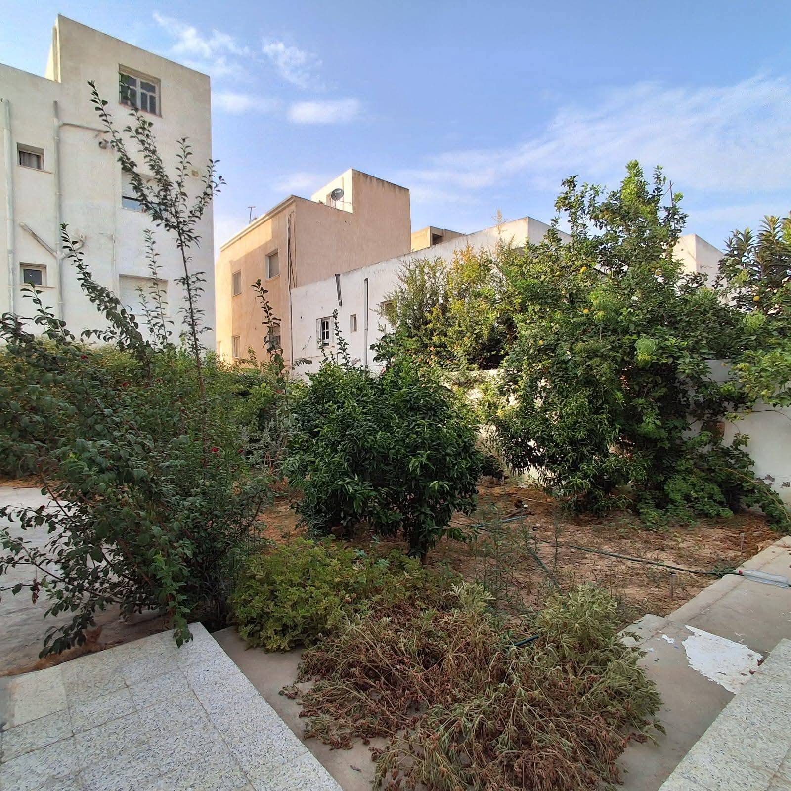 Ain Zaghouan Jardins de Carthage Vente Maisons Opportunit rare aux jardins de carthage