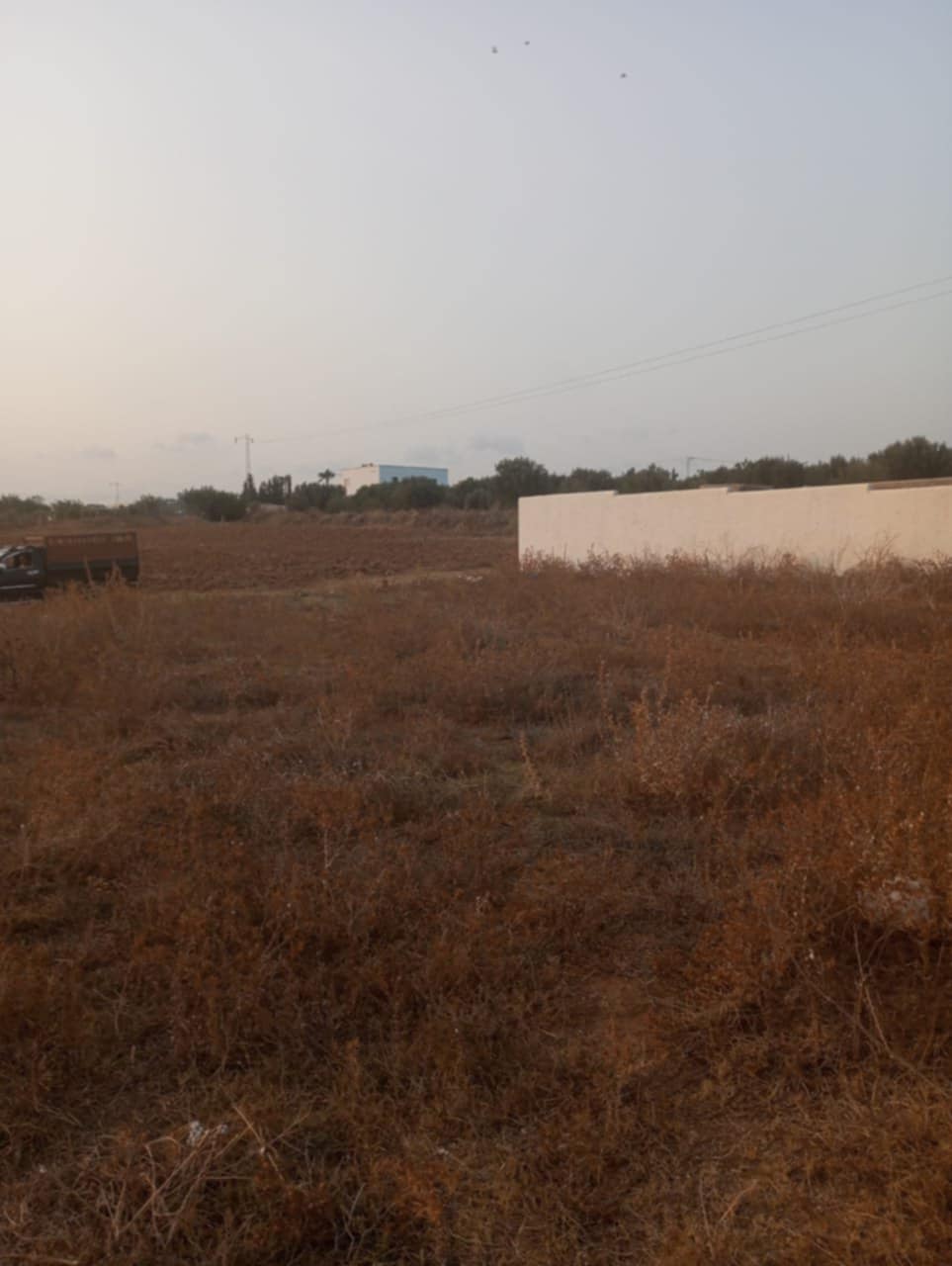 Hammamet&nbsp;Hammamet&nbsp;Terrain&nbsp;Terrain nu&nbsp;Av terrain 1000m � hammamet sud