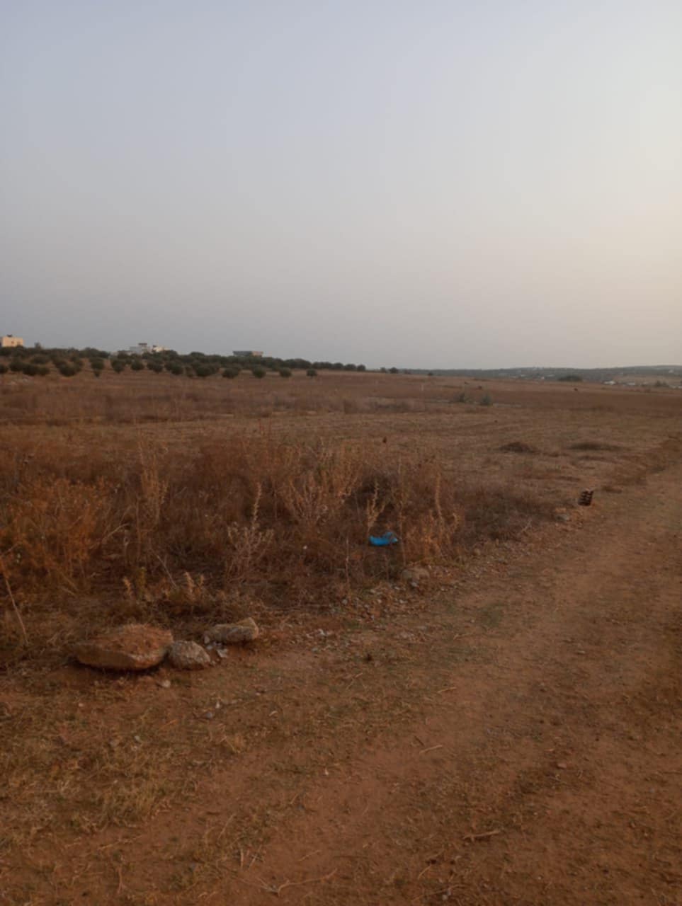 Hammamet&nbsp;Hammamet&nbsp;Terrain&nbsp;Terrain nu&nbsp;Av terrain 1000m � hammamet sud