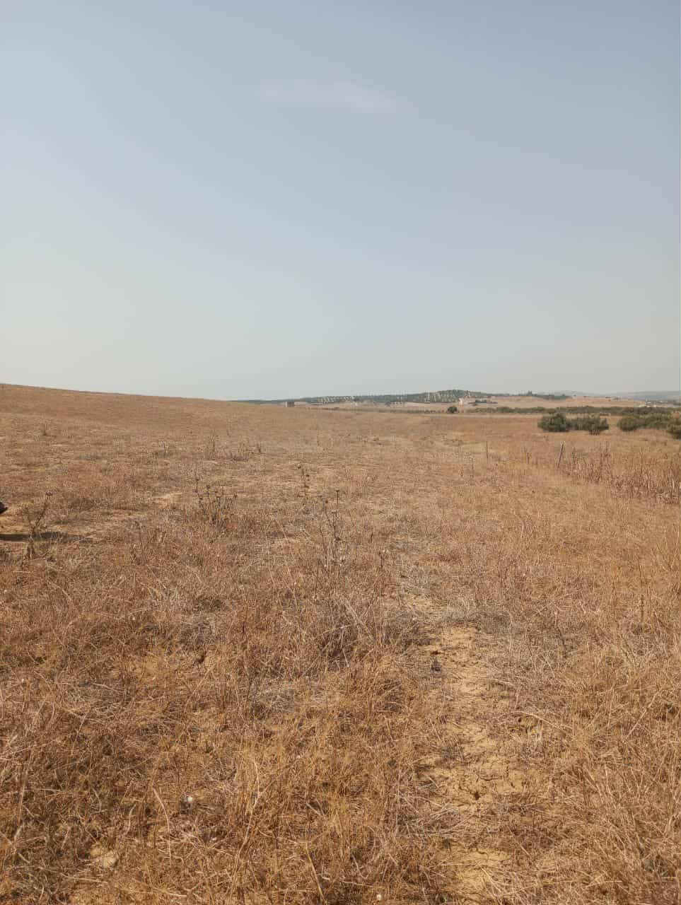 Hammam Zriba Hammam Zriba Terrain Terrain nu Av terrain 7 hectares route zaghouan hammamet