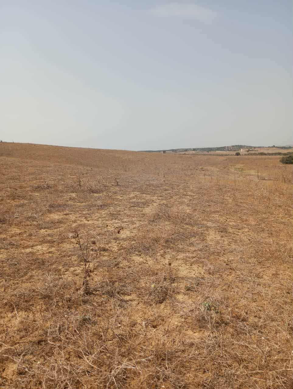 Hammam Zriba Hammam Zriba Terrain Terrain nu Av terrain 7 hectares route zaghouan hammamet