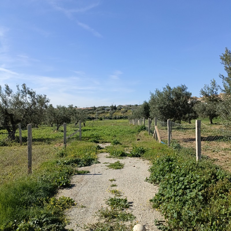 Terrain&nbsp;Terrain agricole