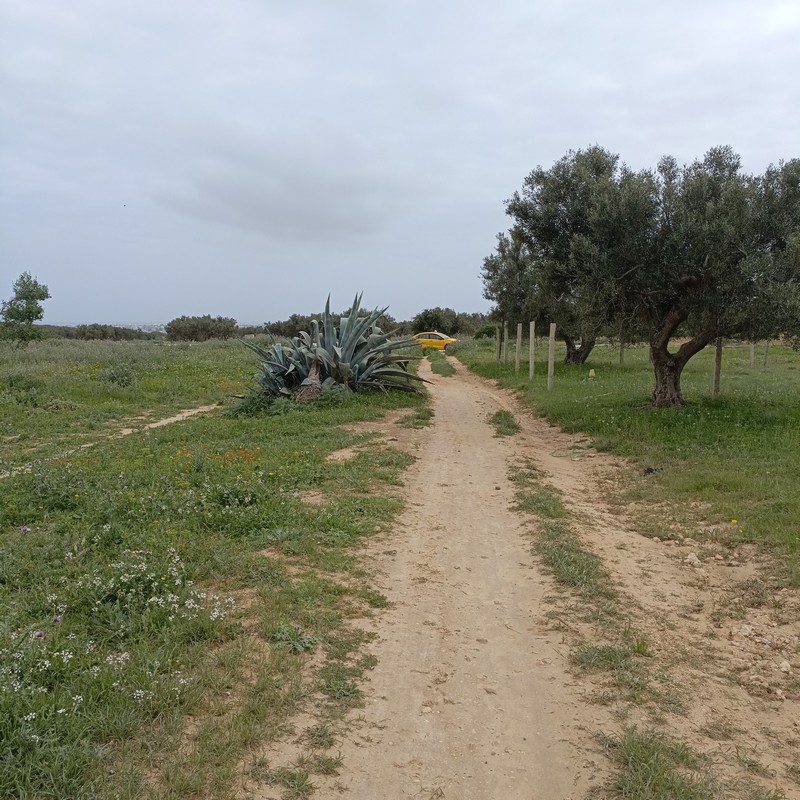 Terrain&nbsp;Terrain nu