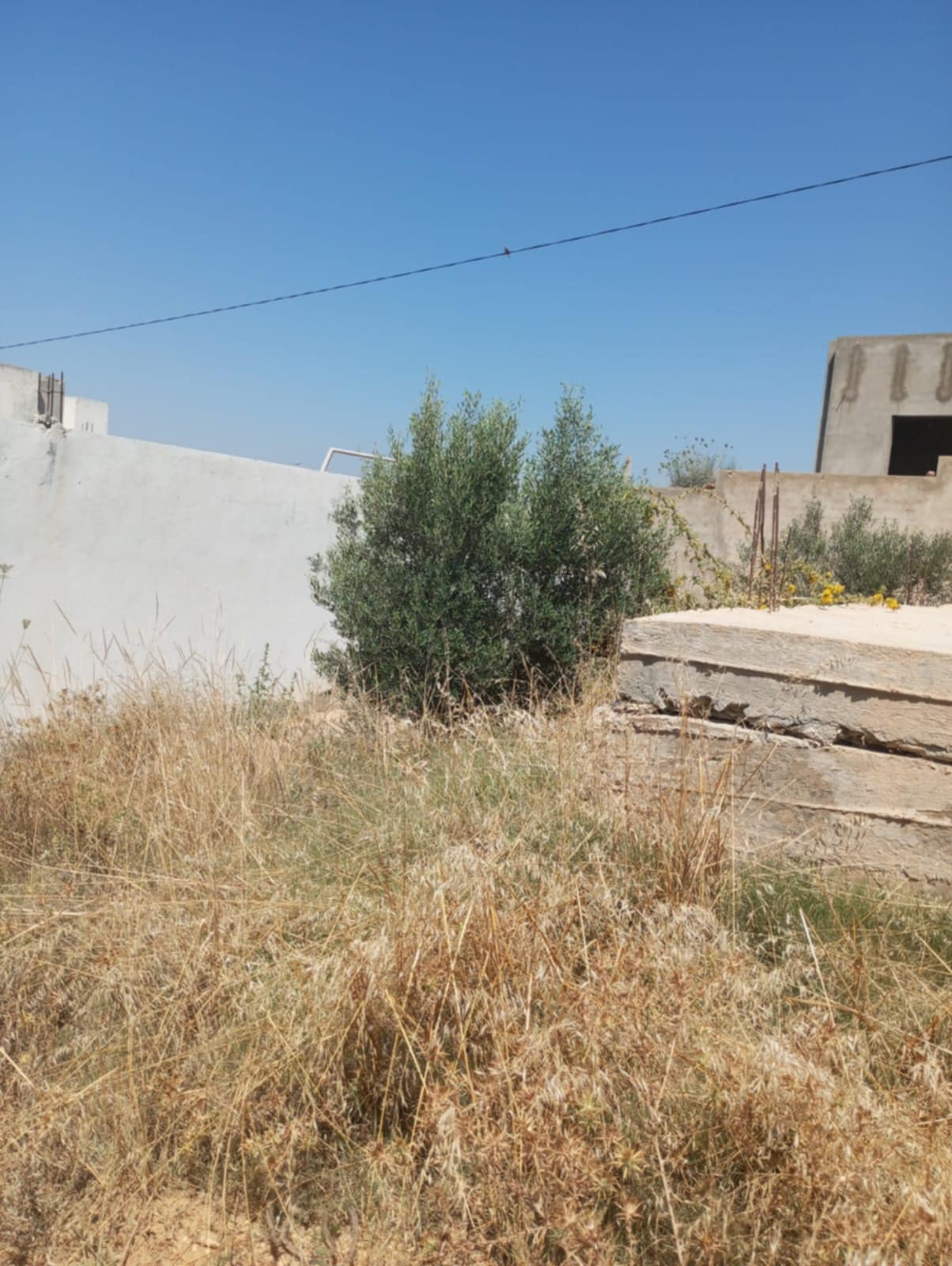 Hammamet&nbsp;Hammamet&nbsp;Terrain&nbsp;Terrain nu&nbsp;Av 200m avec fondation � hammamet sud