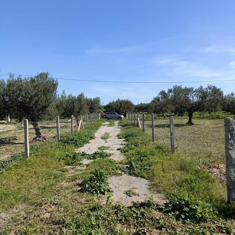 Terrain&nbsp;Terrain agricole