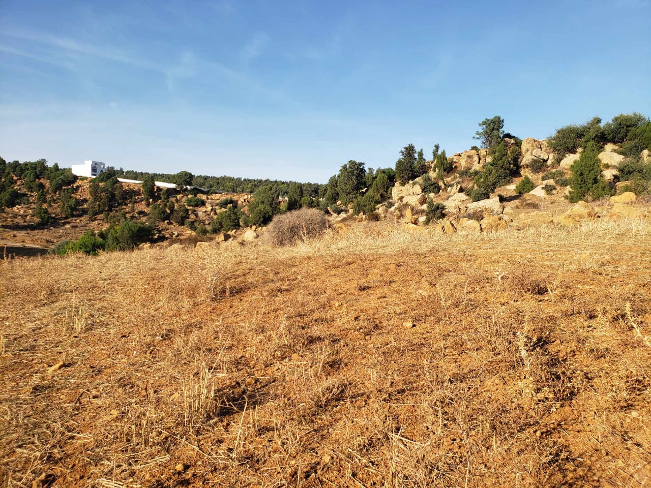 Terrain&nbsp;Terrain nu