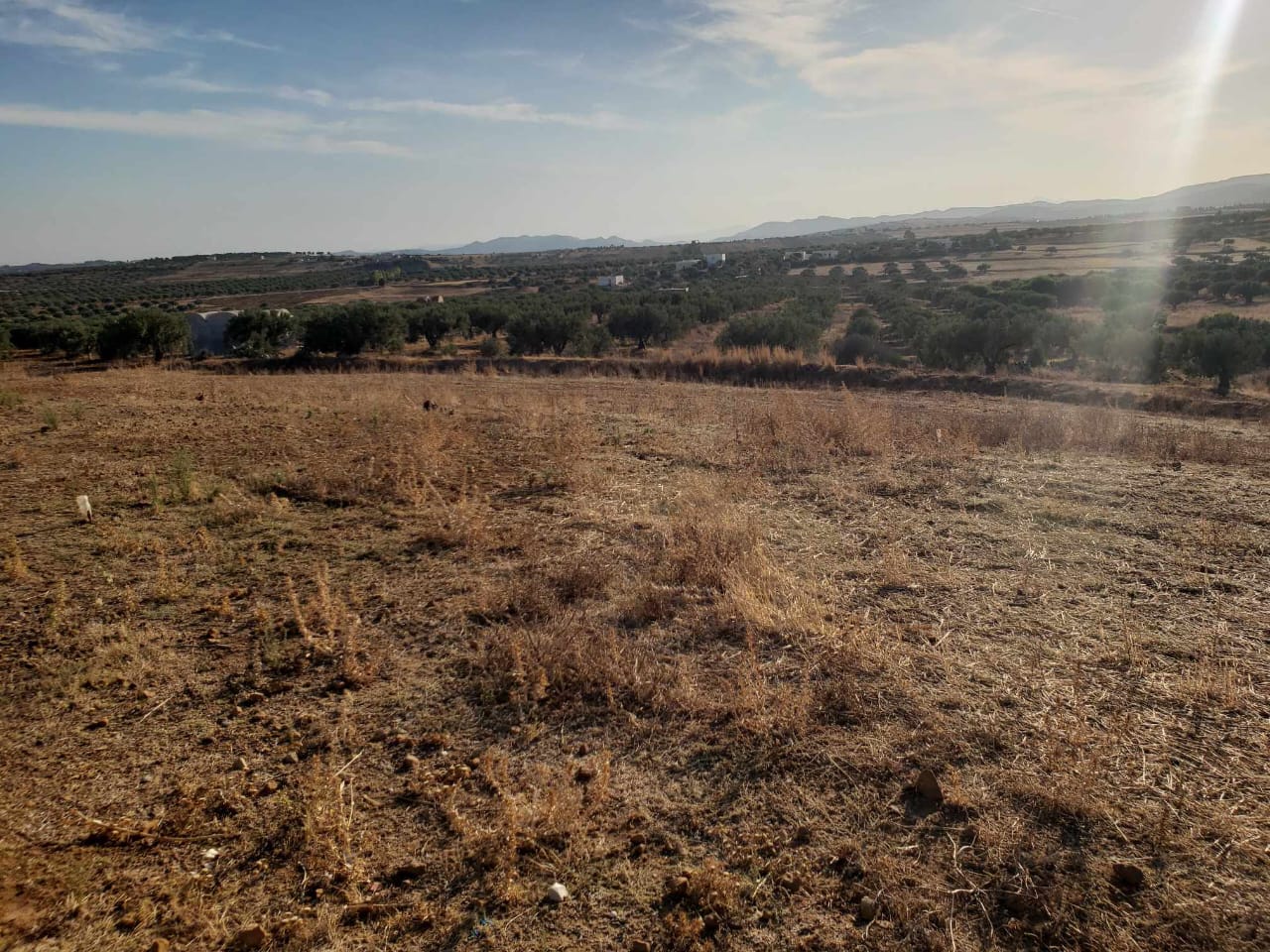 Hammamet&nbsp;Hammamet&nbsp;Terrain&nbsp;Terrain nu&nbsp;Av terrain 1300m avec vue d�gag� proche hammamet