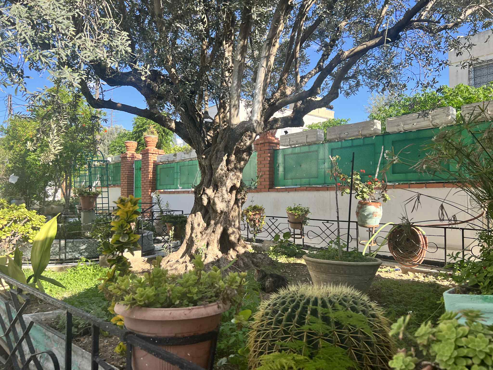 Vente Maisons