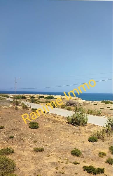 El Haouaria Cite Touristique Terrain Terrain nu Terrain de 630m2 de vue dgage  la mer