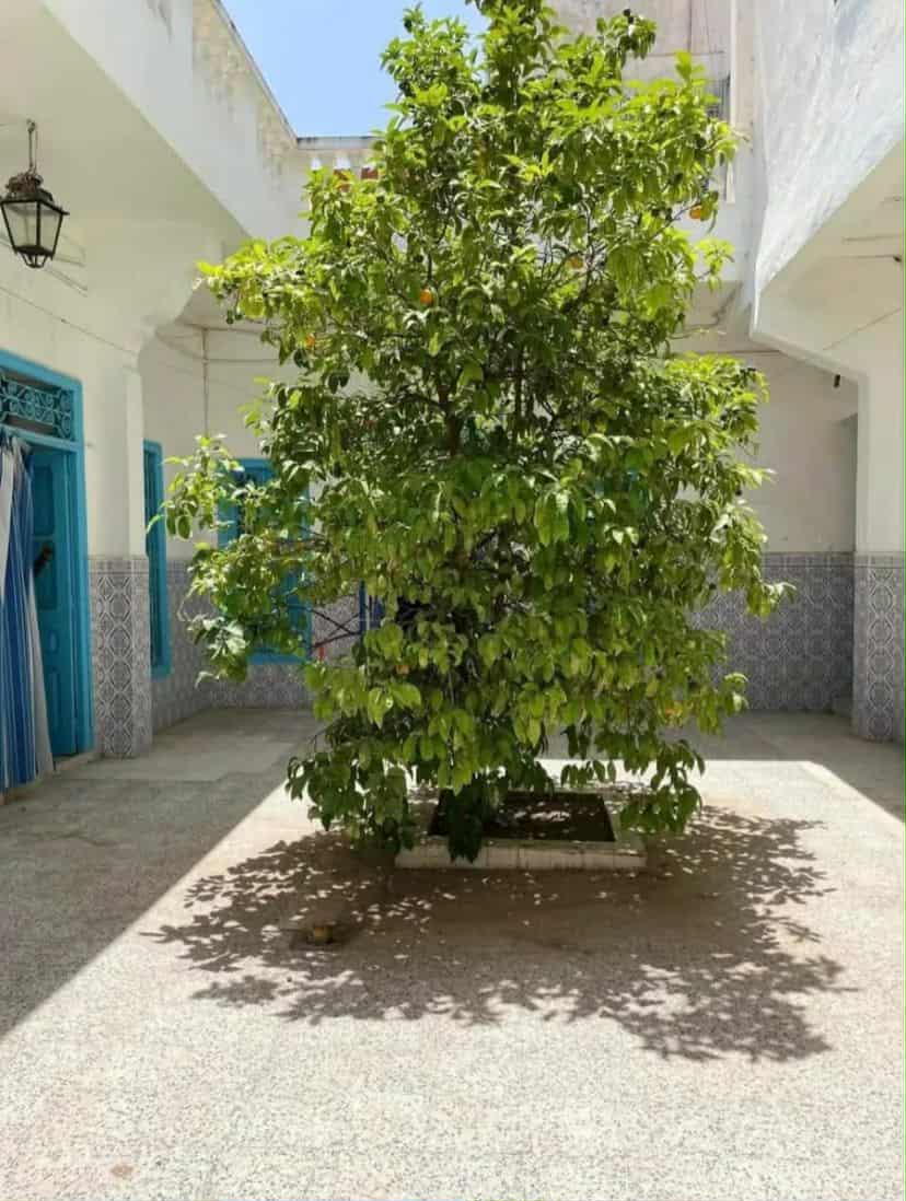 La Medina Bab Djedid Vente Maisons Une maison arabe