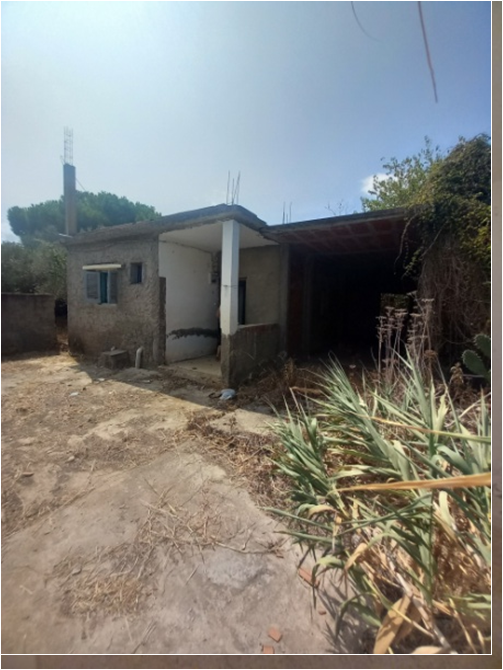 Bizerte Sud Louata Vente Maisons Maison avec jardin