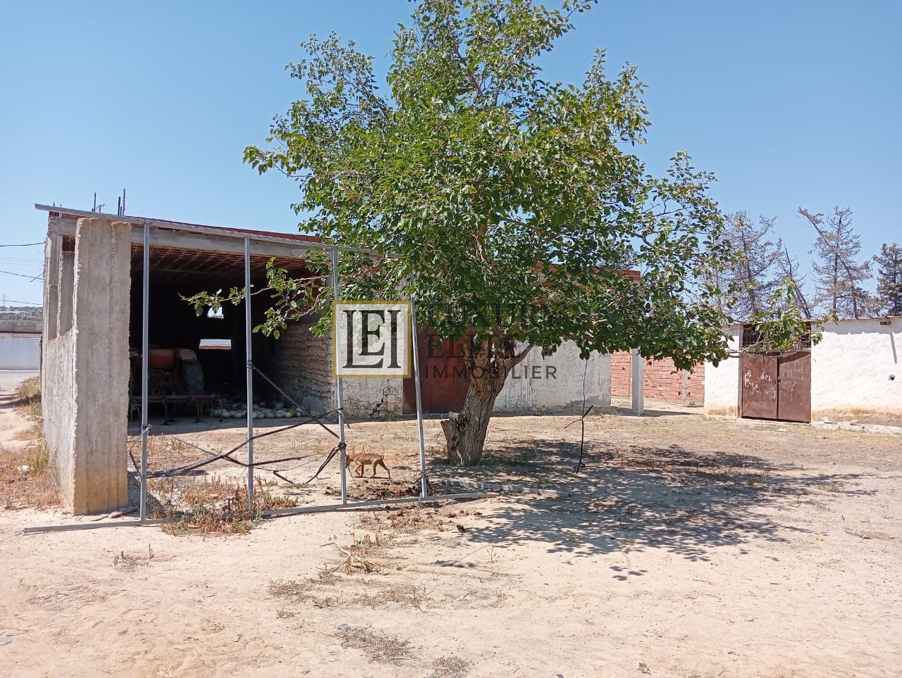 Korba Tazarka Vente Surfaces Ferme  tazerka