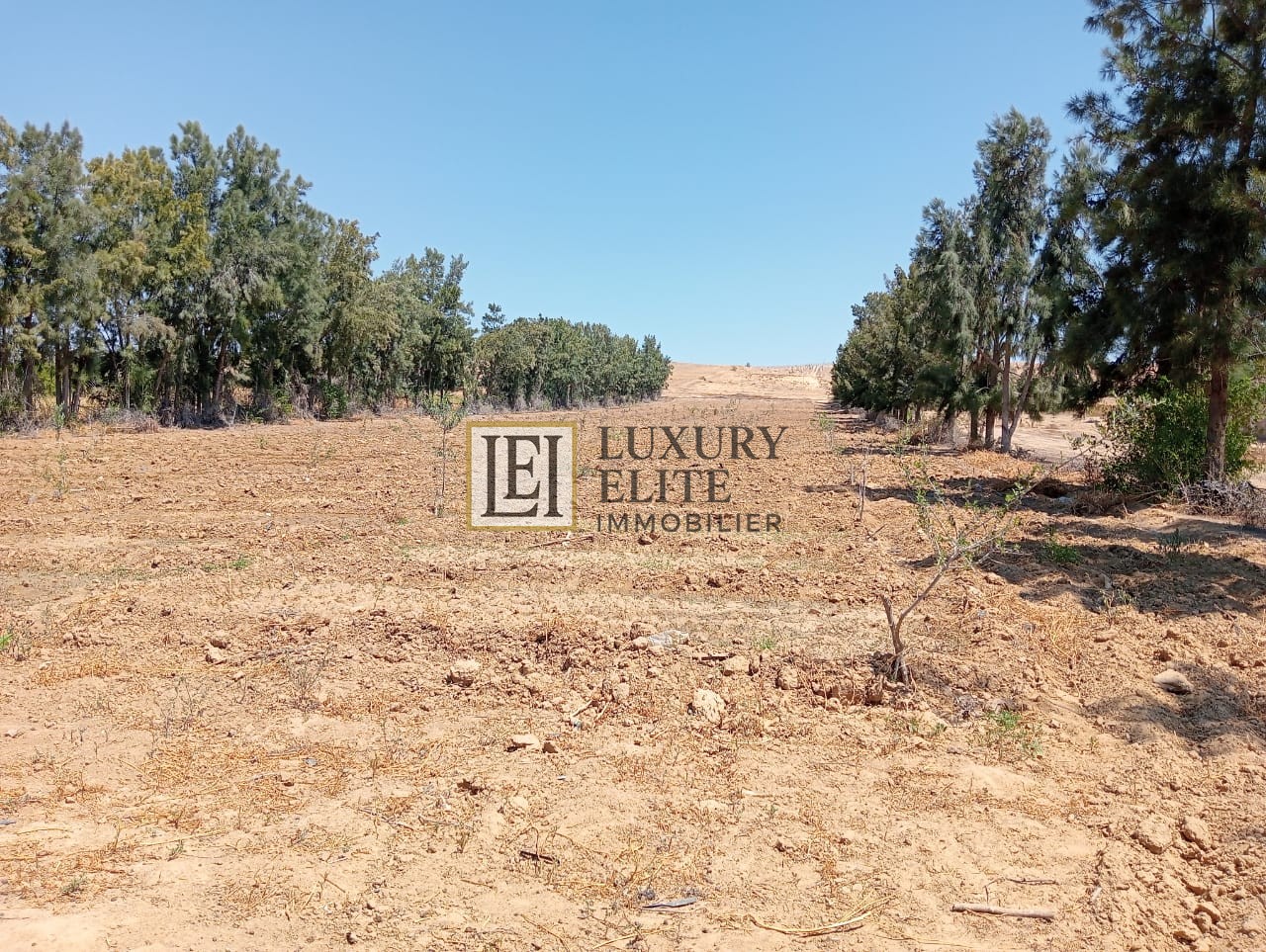 Korba Tazarka Vente Surfaces Ferme  tazerka