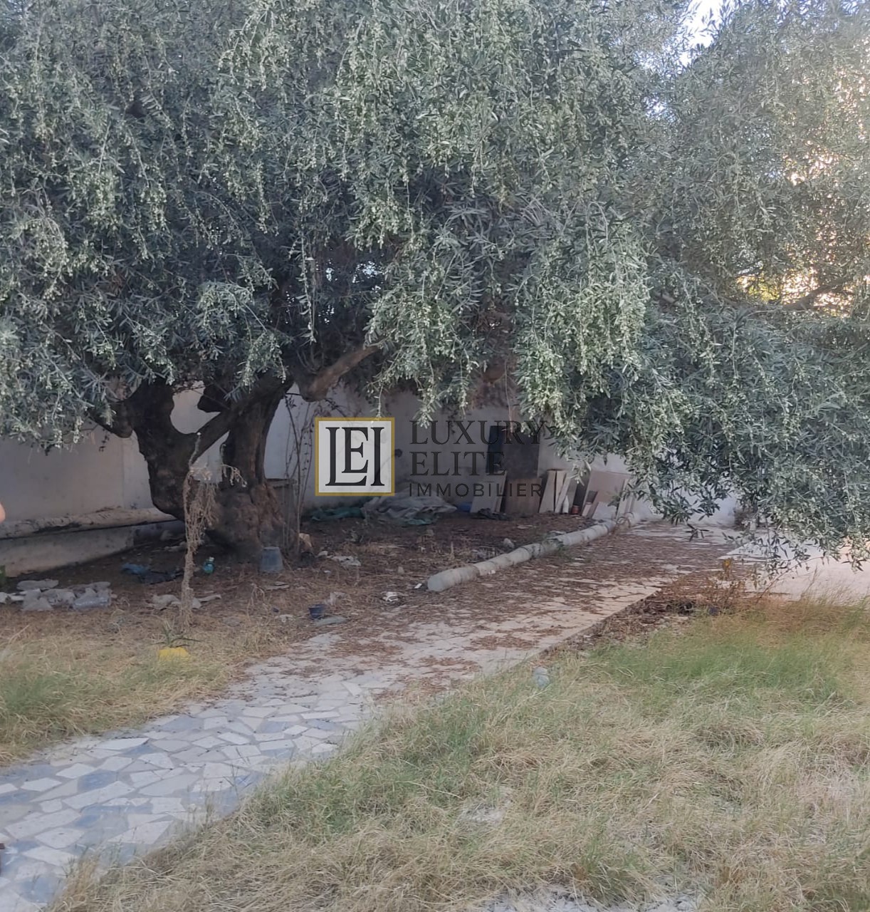 Hammamet Hammamet Vente Maisons Terrain 717m2  hammamet zone rsidentielle prise