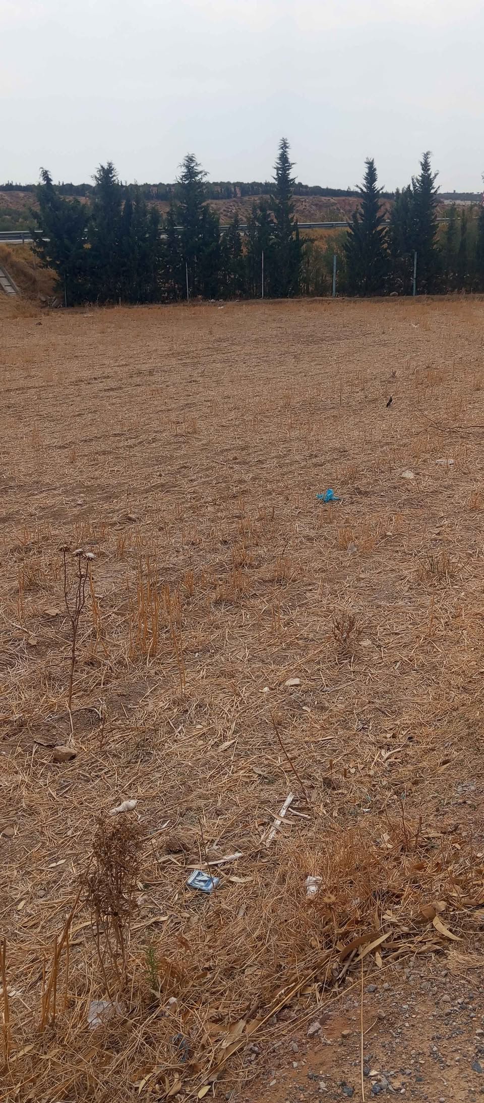 Mejez El Bab Mejez El Bab Terrain Terrain agricole Terrains agricole