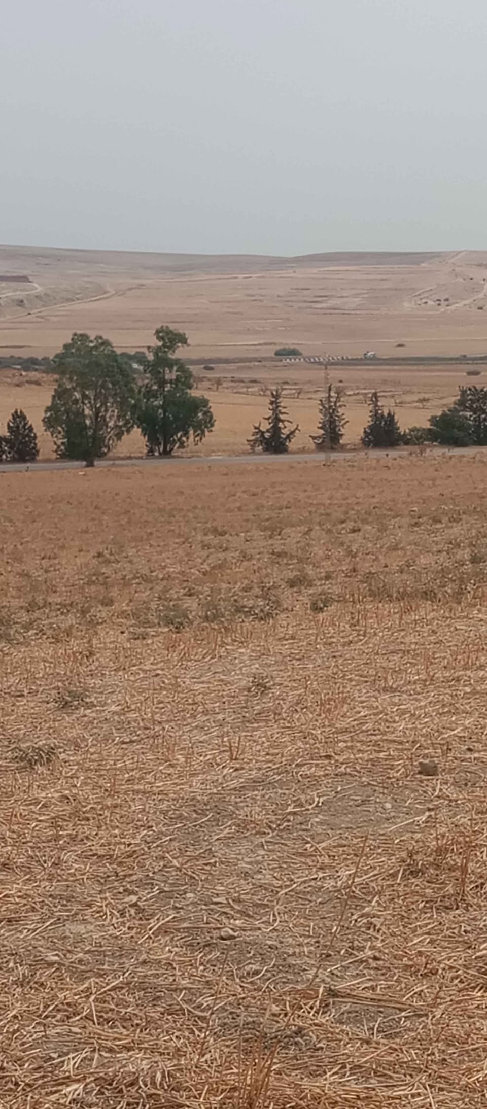 Terrain Terrain agricole