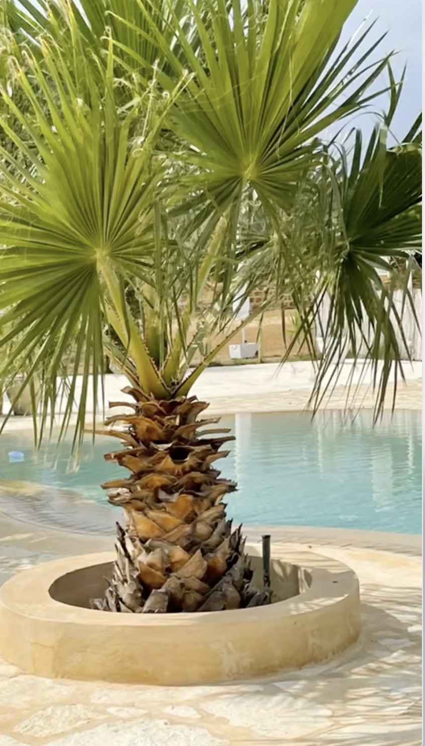 Beni Khiar Beni Khiar Vente Maisons Exclusive property 20 min from hammamet tunisia