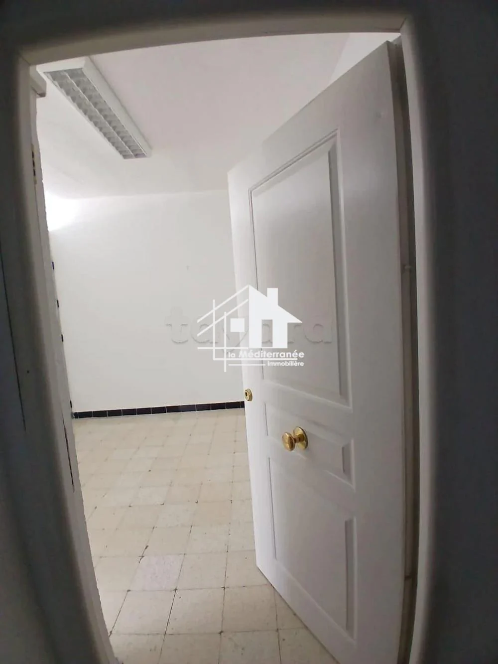 Bab Bhar Bab Bhar Location Appart. 2 pices Bureau h2  l'avenue de carthage