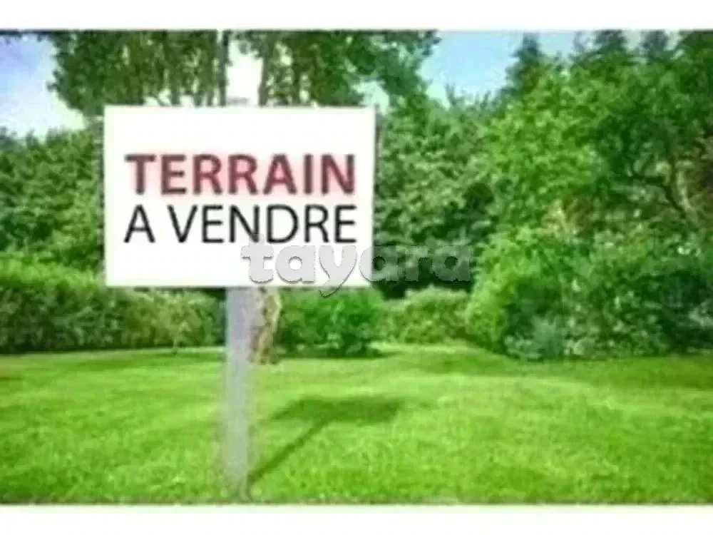 Terrain Terrain agricole