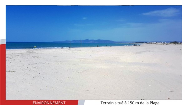 Terrain Terrain nu