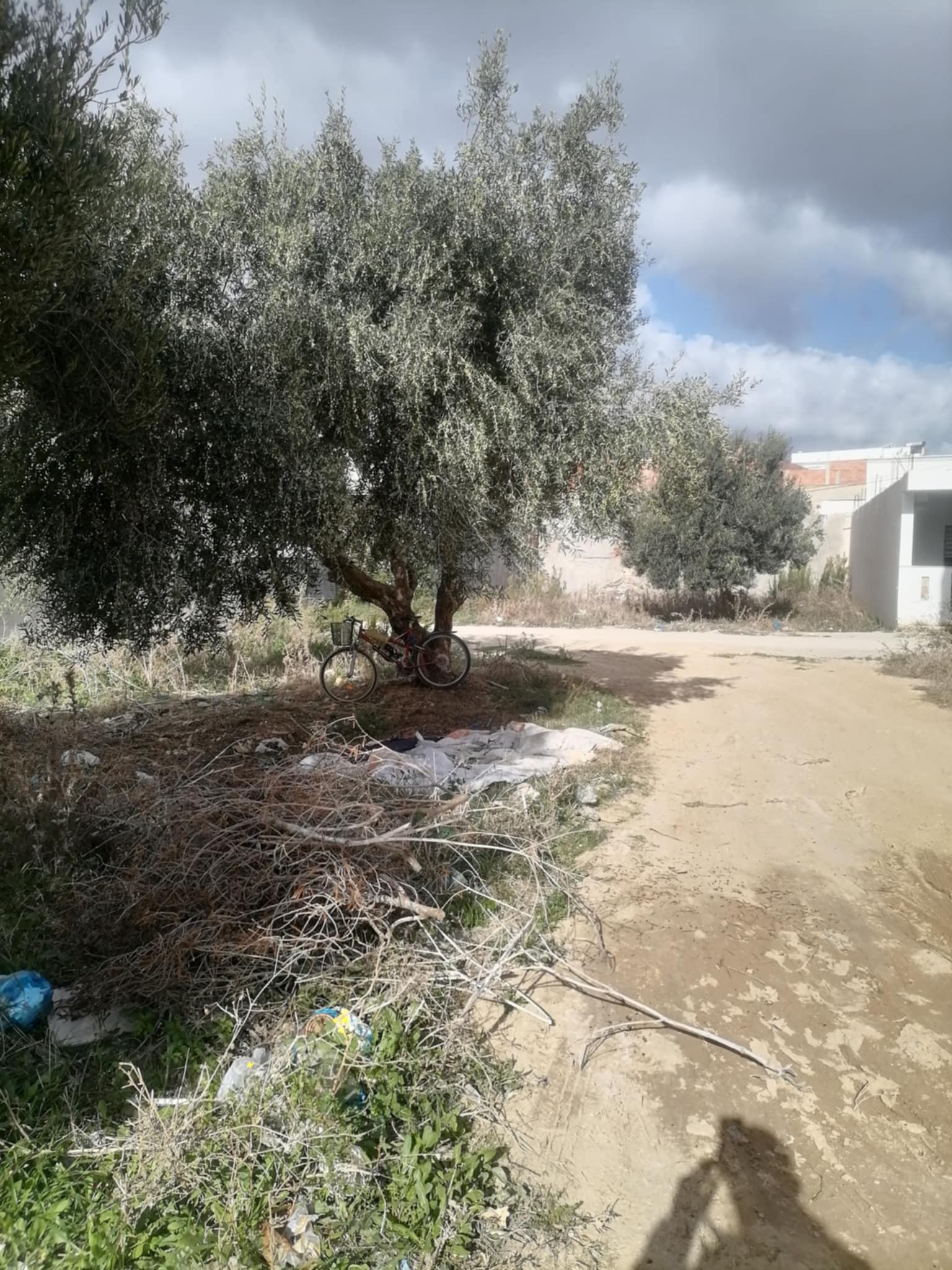 Terrain&nbsp;Terrain nu