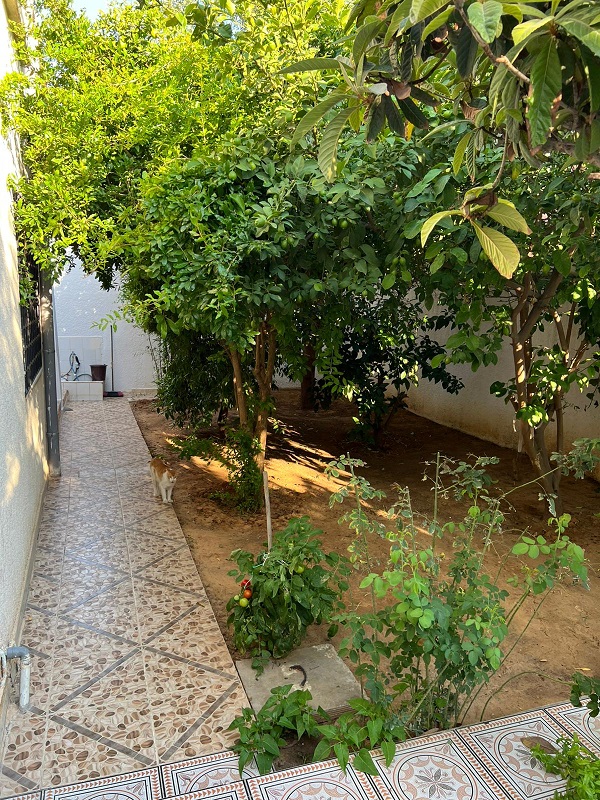 Fouchana&nbsp;Naassen&nbsp;Vente&nbsp;Maisons&nbsp;Villa � naasen