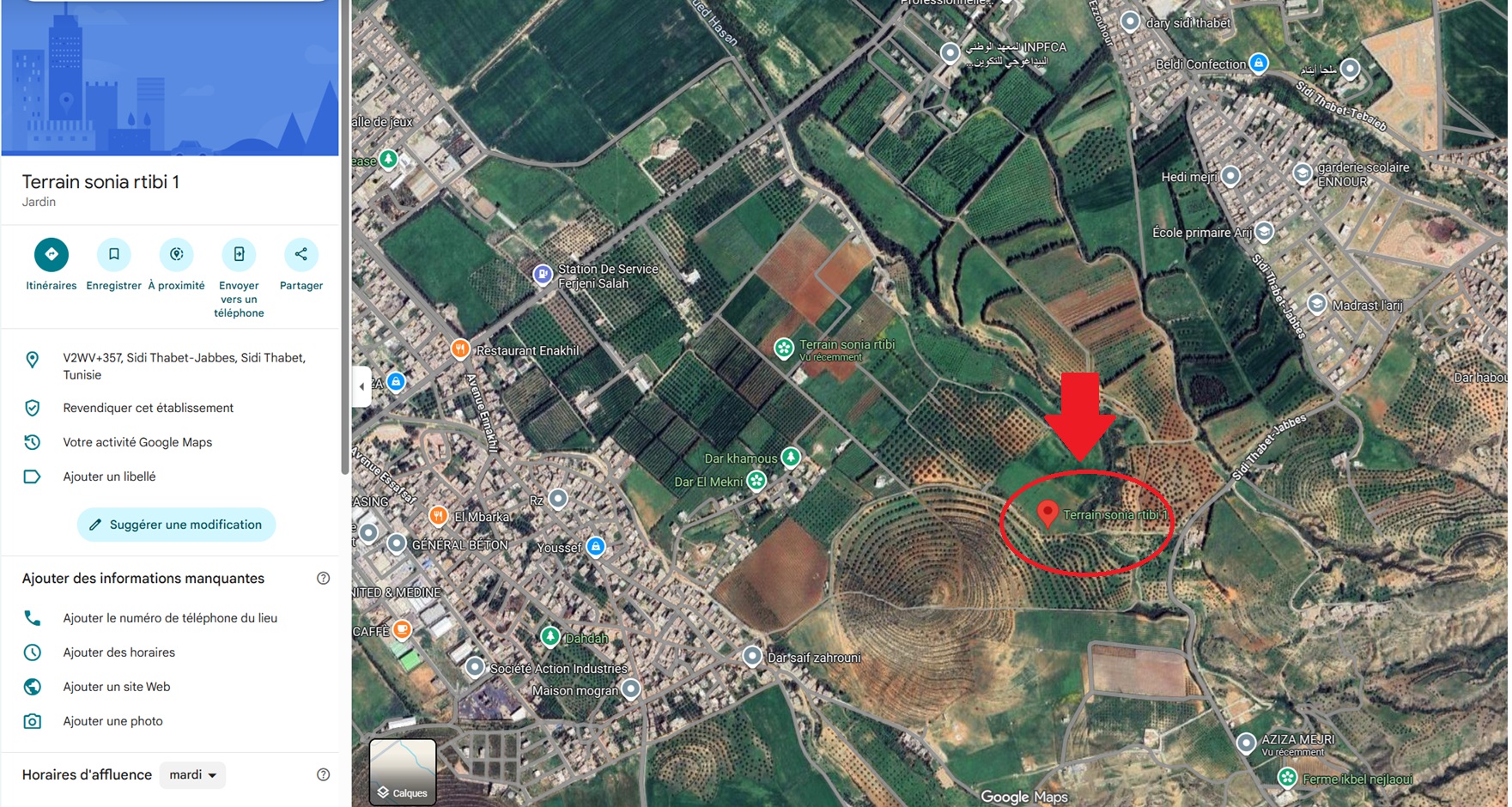 Sidi Thabet Jabbes Terrain Terrain agricole Terrain de 1 hectare  sidi thabet jabbes