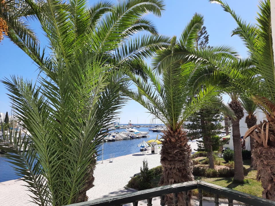 Bureaux & Commerces Surfaces