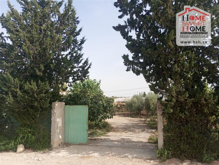 Mejez El Bab Mejez El Bab Terrain Terrain agricole Terrain agricole terrasol  mjez beb