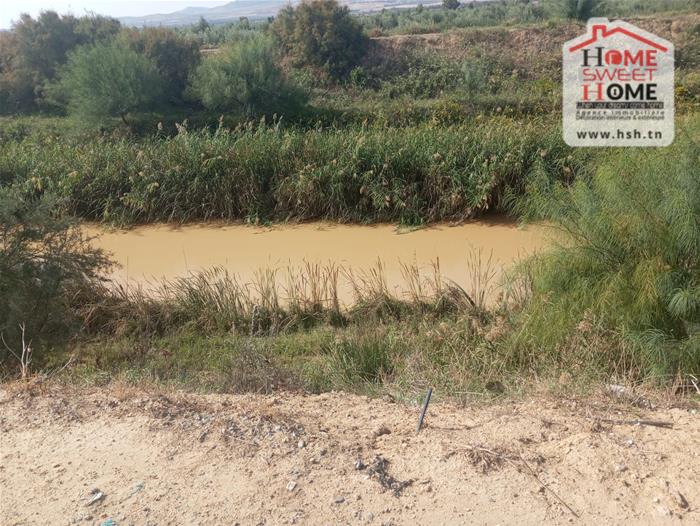 Mejez El Bab Mejez El Bab Terrain Terrain agricole Terrain agricole terrasol  mjez beb