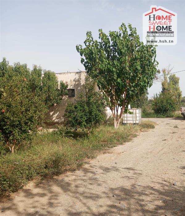 Terrain Terrain agricole