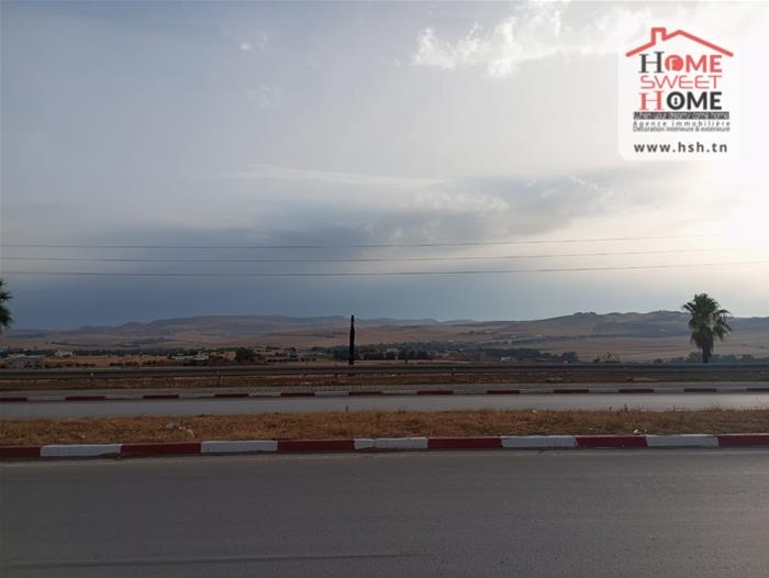 Terrain&nbsp;Terrain nu