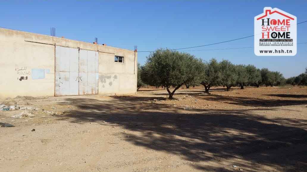 Mejez El Bab Mejez El Bab Terrain Terrain nu Dpt iden  mjez el beb