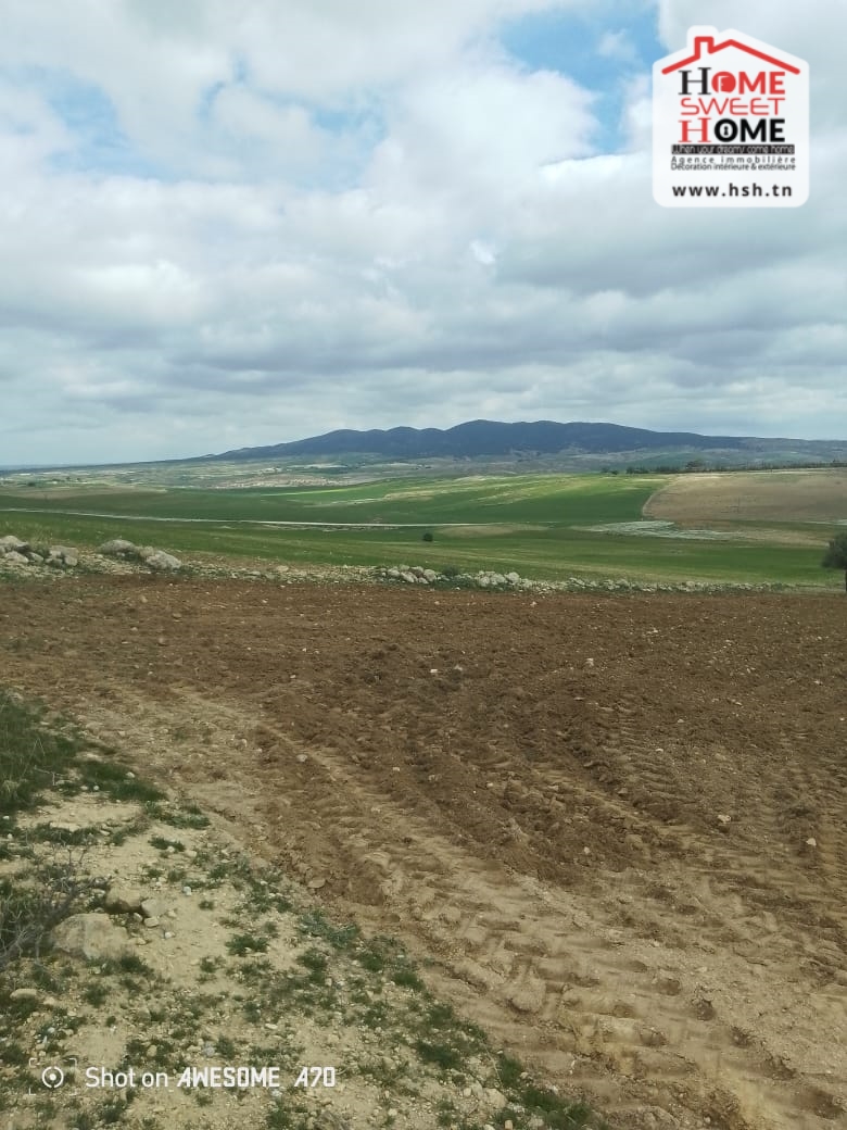 Terrain Terrain agricole