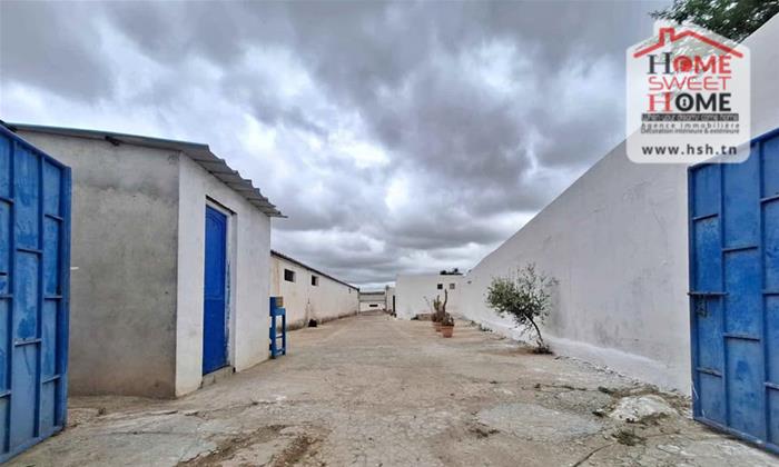 Location&nbsp;Surfaces