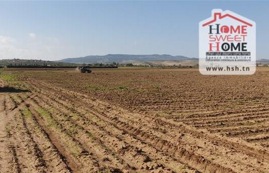 Mejez El Bab Mejez El Bab Terrain Terrain agricole Terrain agricole sarina  mjez beb