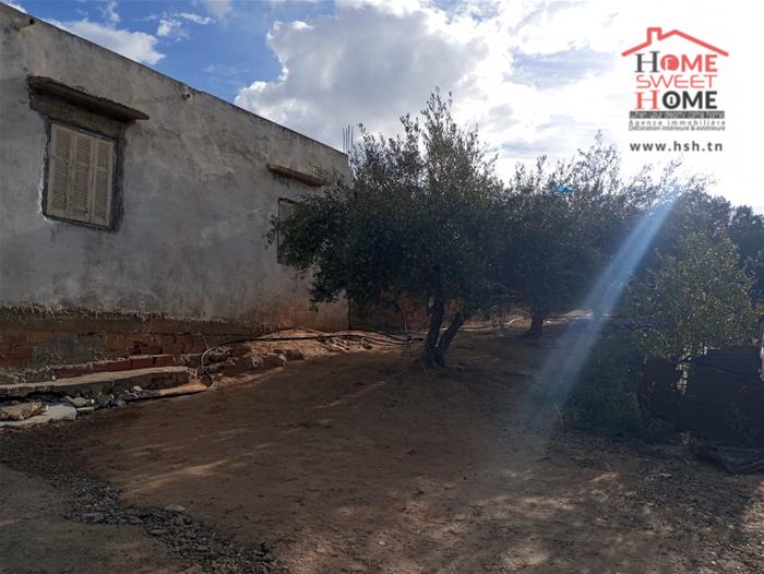 Mejez El Bab Mejez El Bab Terrain Terrain agricole Maison s2 solena  mjez beb