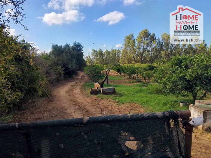 Terrain&nbsp;Terrain agricole