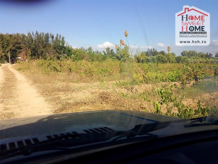 Nabeul&nbsp;Nabeul&nbsp;Terrain&nbsp;Terrain agricole&nbsp;Terrain agricole rahaf � nabeul