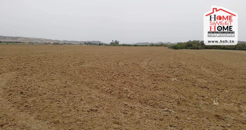 Terrain&nbsp;Terrain agricole