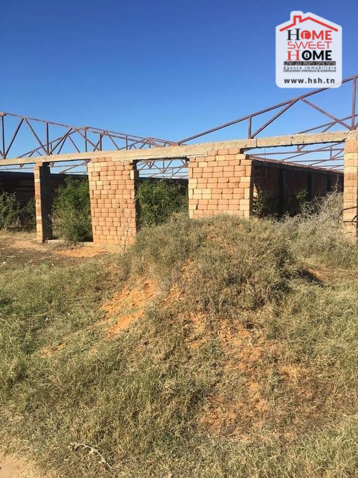 Siliana Nord&nbsp;Cite Cnrps&nbsp;Terrain&nbsp;Terrain agricole&nbsp;Terrain agricole � siliana