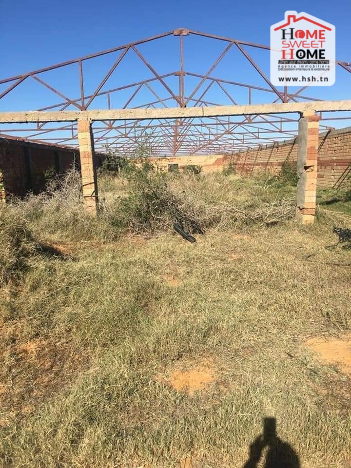 Siliana Nord&nbsp;Cite Cnrps&nbsp;Terrain&nbsp;Terrain agricole&nbsp;Terrain agricole � siliana