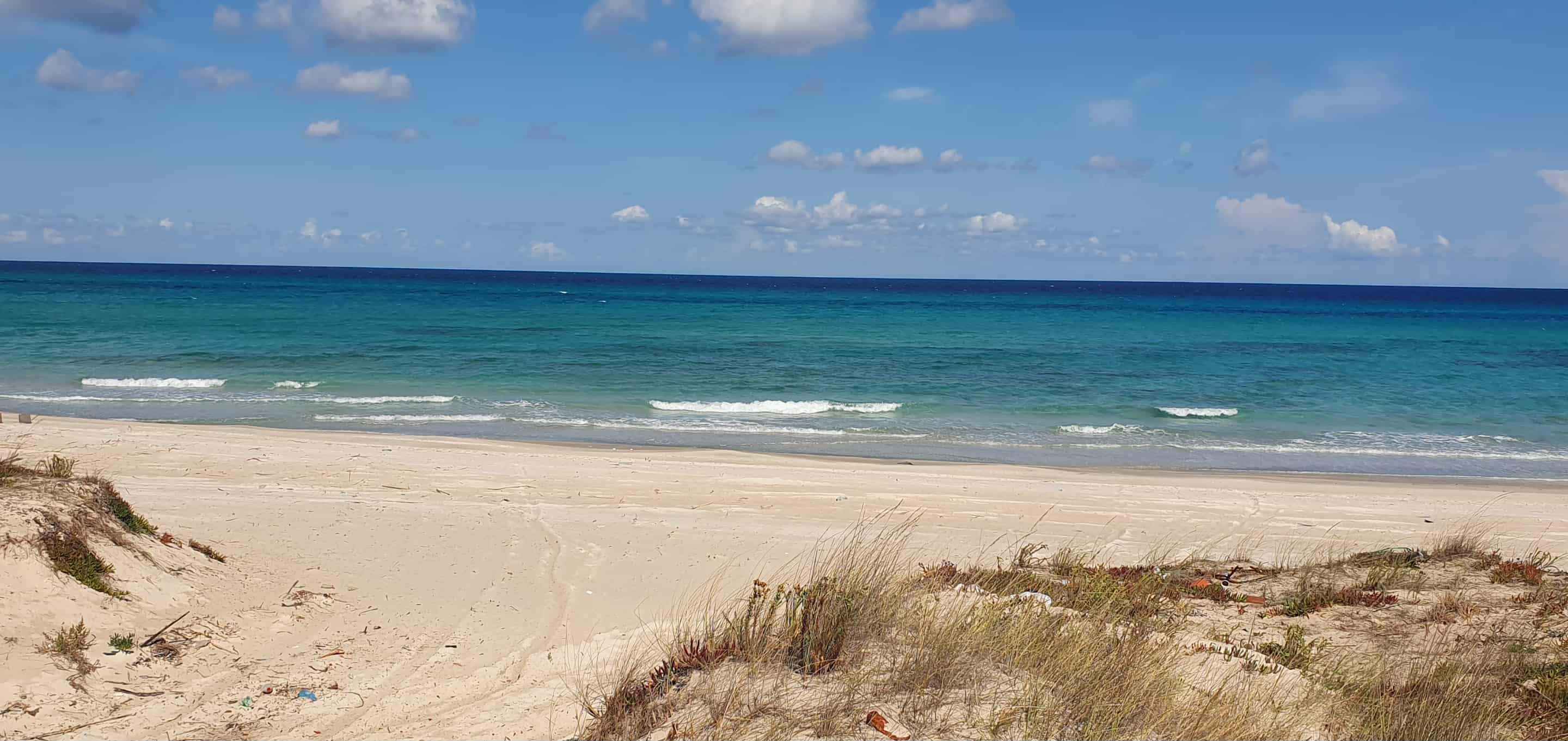 Hammam El Ghezaz Hammam Jebli Terrain Terrain nu Terrain 2 eme position a hamem leghzez