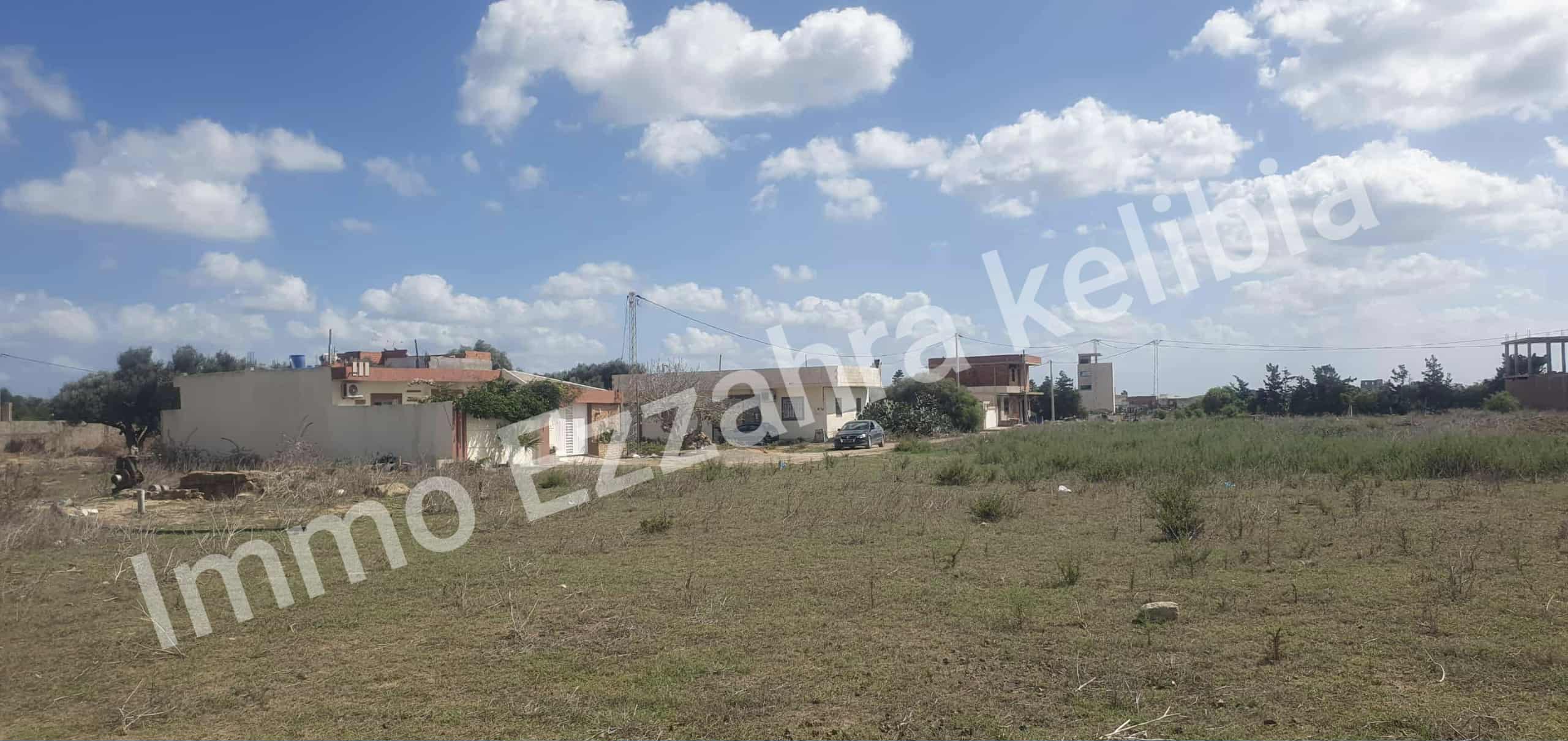 Kelibia&nbsp;Kelibia&nbsp;Vente&nbsp;Surfaces&nbsp;Des lots � k�libia nabeul